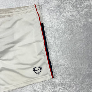 Nike Shorts (M)